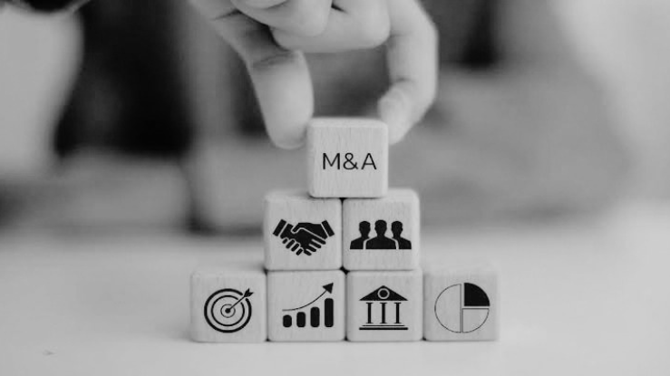 Merger & Acquisition (M&A)